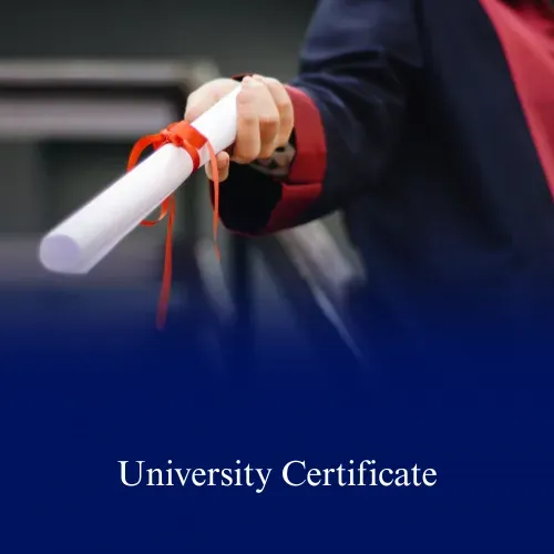 University Certificate
