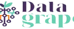 Power BI Developer