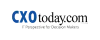 Career as a Web Developer: Job and Career Opportunities